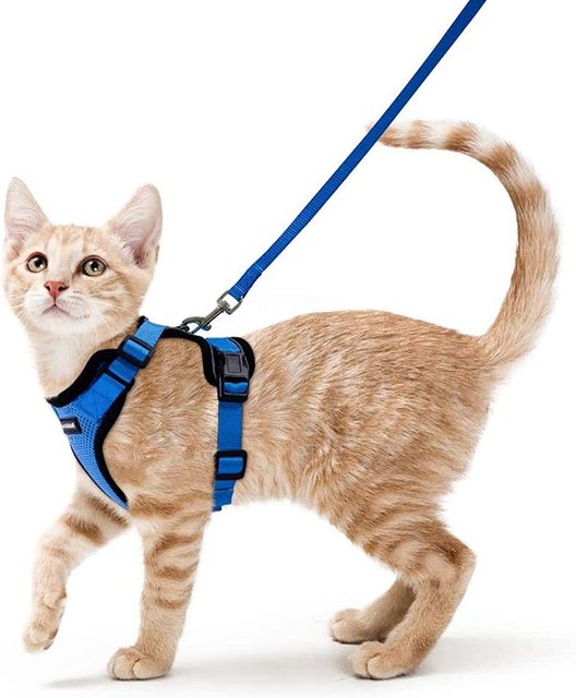 Cat Harness and Leash