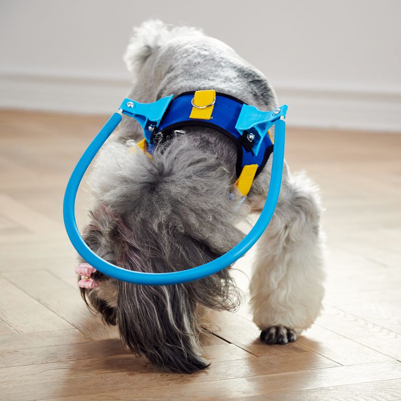 BLIND DOGS PET SAFE HARNESS