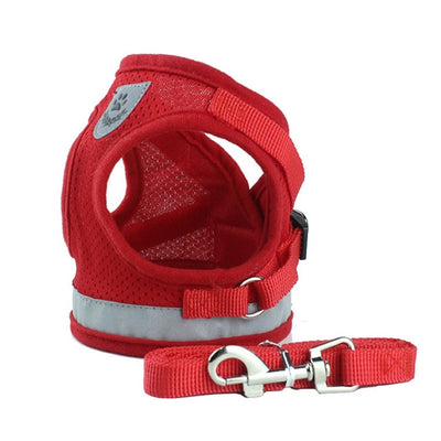 CAT HARNESS AND LEASH