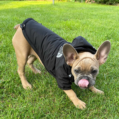 Waterproof Hooded Coat "The Dog Face"